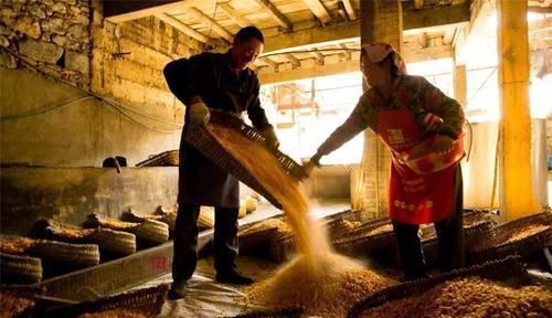 农村酿酒全过程曝光,你喝过的酒原来是这样酿的