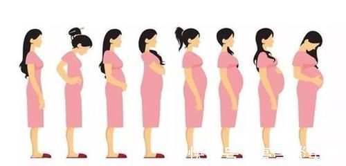 发育不良|为什么有人怀孕的时候肚子大,而有人怀孕的时候肚子小?