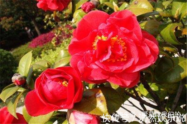 出息|父母只要有一人出生在农历这6天,孩子相貌好,福气更好!