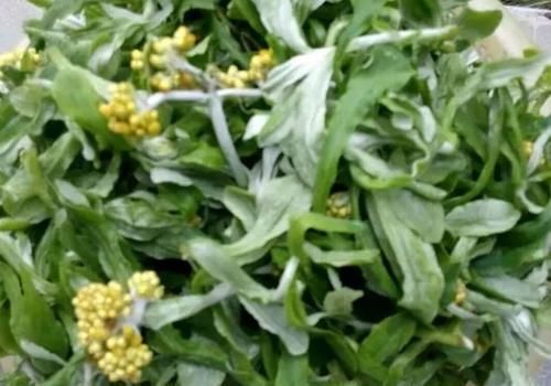 推薦立春后吃的食物，女人莫錯過，預防便秘，緩解疼痛感，肌膚好