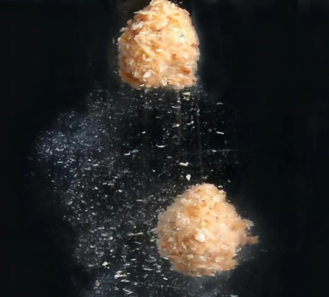 鱼情|钓鱼人的6大错误,改掉它,你离钓鱼高手又近了一步