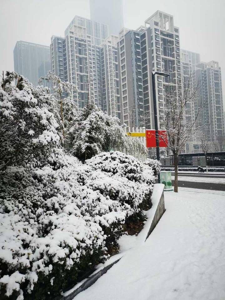 泉城赏雪！五律?泉城赏雪