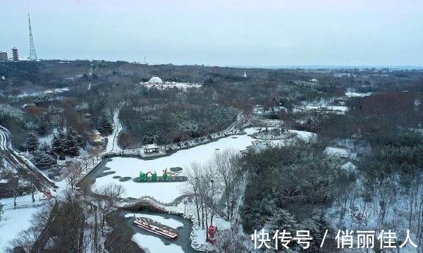 雪景|安丘最美雪景来了，无论航拍还是素颜，简直美透了！