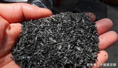 兰根|养兰花这点最关键,发芽多又壮,开花多又香,年年开花不断