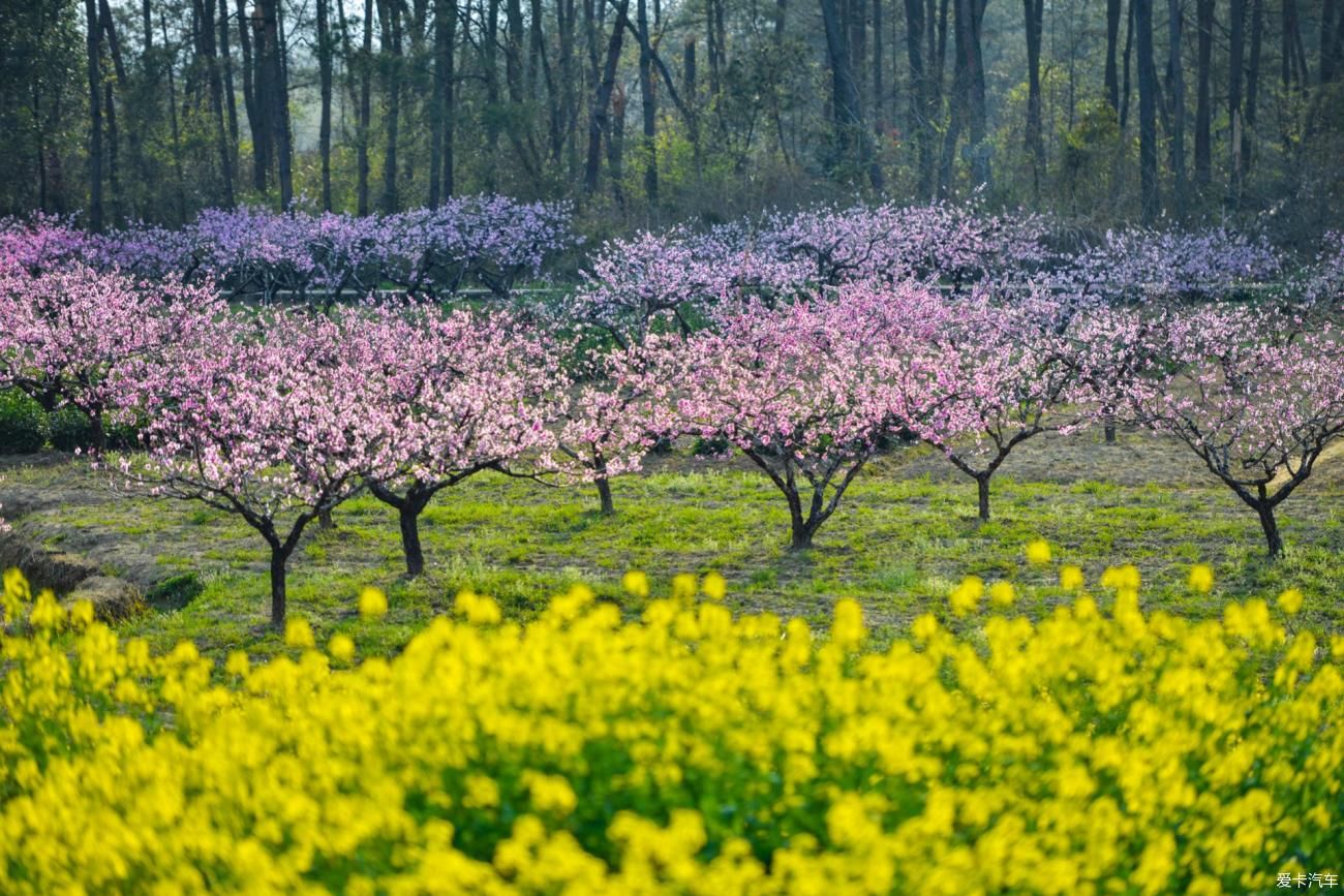 在安徽黟县旅行，西递、屏山、桃花源这三个地方，很值得看一看