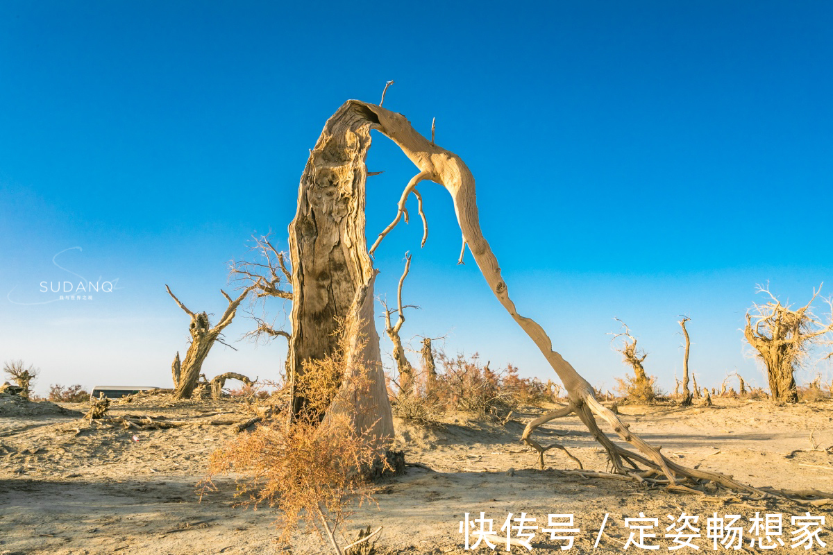 沙漠|神秘的塔克拉玛干沙漠，藏有“生命禁区”，却吸引无数探险者