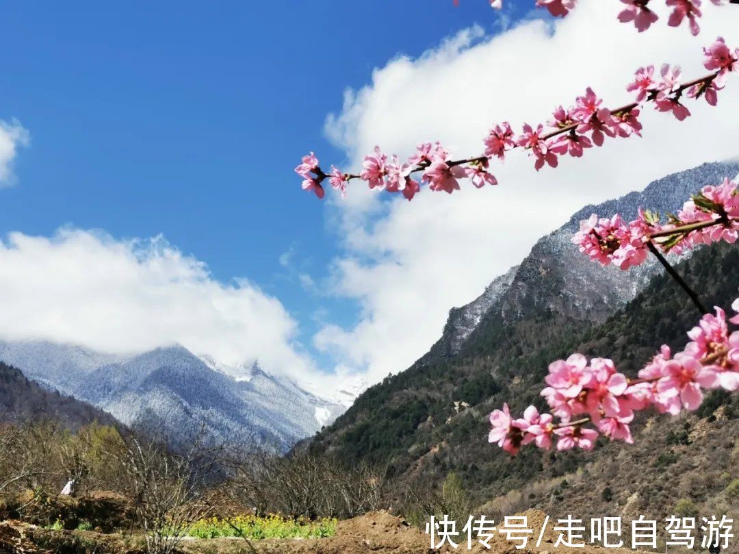 神仙包|春天第一站就去这里！醉春天之川西花海、雪山、冰湖七天之旅