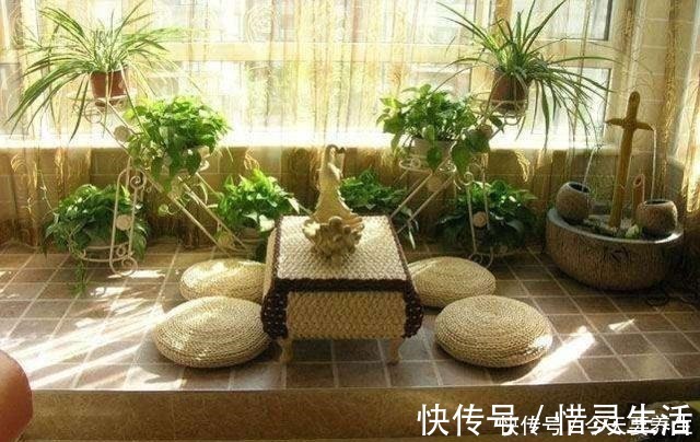 花园|阳台有了它们,立马变成小花房,看书品茶两不耽误!