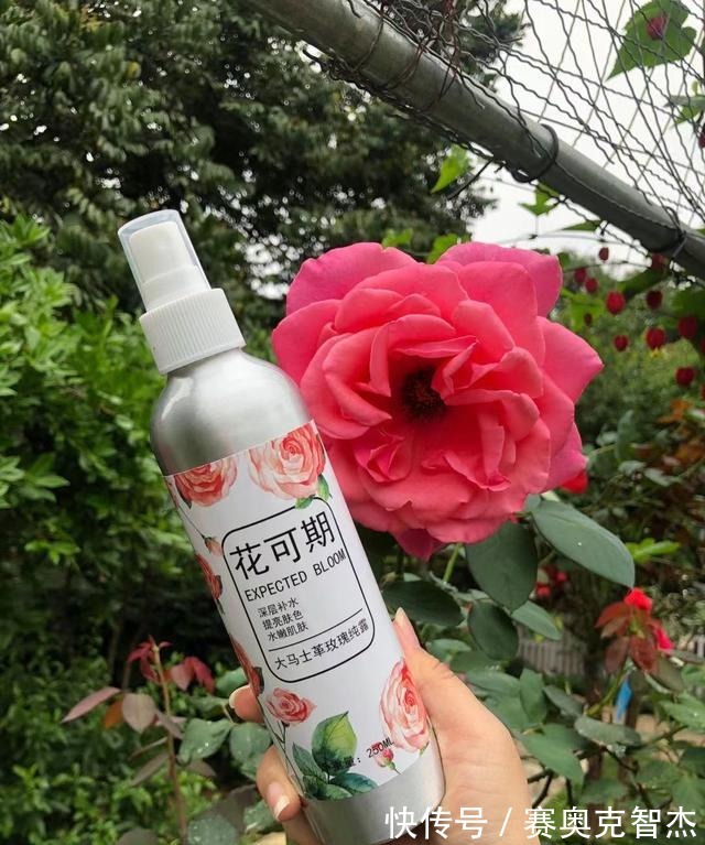 爽肤水|好用的爽肤水化妆水推荐:轻松告别干燥起皮, 淡妆素颜都超美。