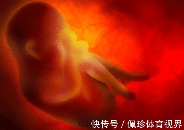 午餐|胎儿最喜欢在2个时间段睡觉,孕妈你别打扰,暖心