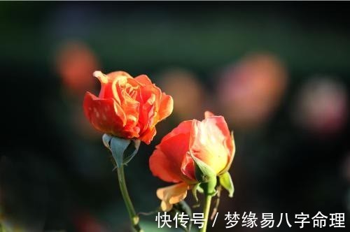 日生人|从夫妻八字看婚姻，如何看自己的桃花运？你的桃花在哪里？