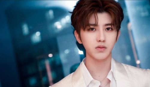 APP内阅读 《青你》系列成立偶像团队，开辟了内地偶像团体的新时代