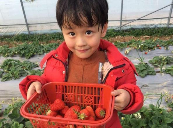 父母|天可以多给小孩子吃3种金牌水果,孩子少生病,建议父母了解