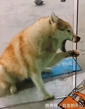 |「被窝段子20220131」生活嘛 慢慢来 所有的好运都在路上