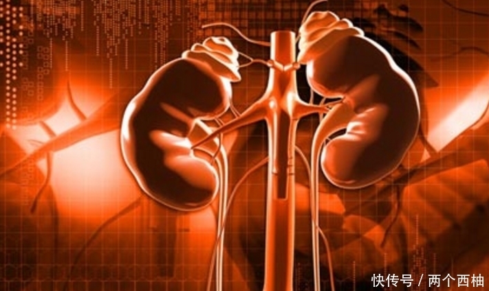 位女性朋友|女人“肾虚”,试试吃3样食材,或许补肾又快又好,早用早受益