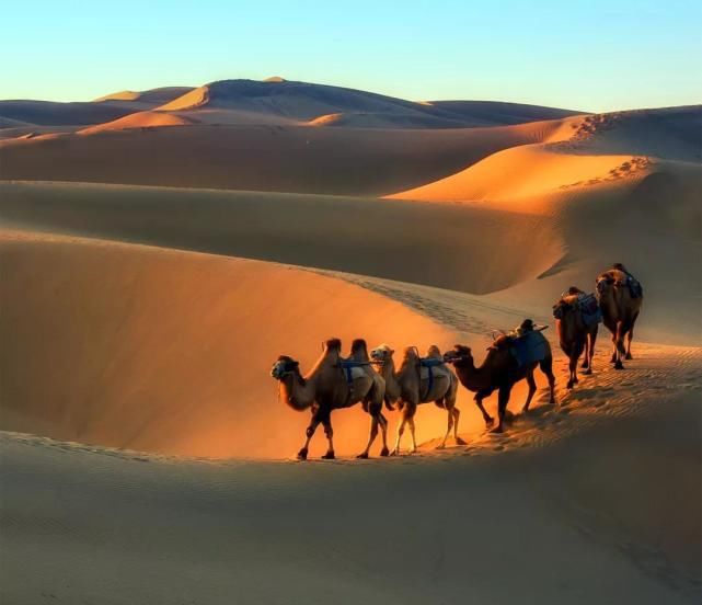 中国沙漠面积130万平方公里,都铺上太阳能
