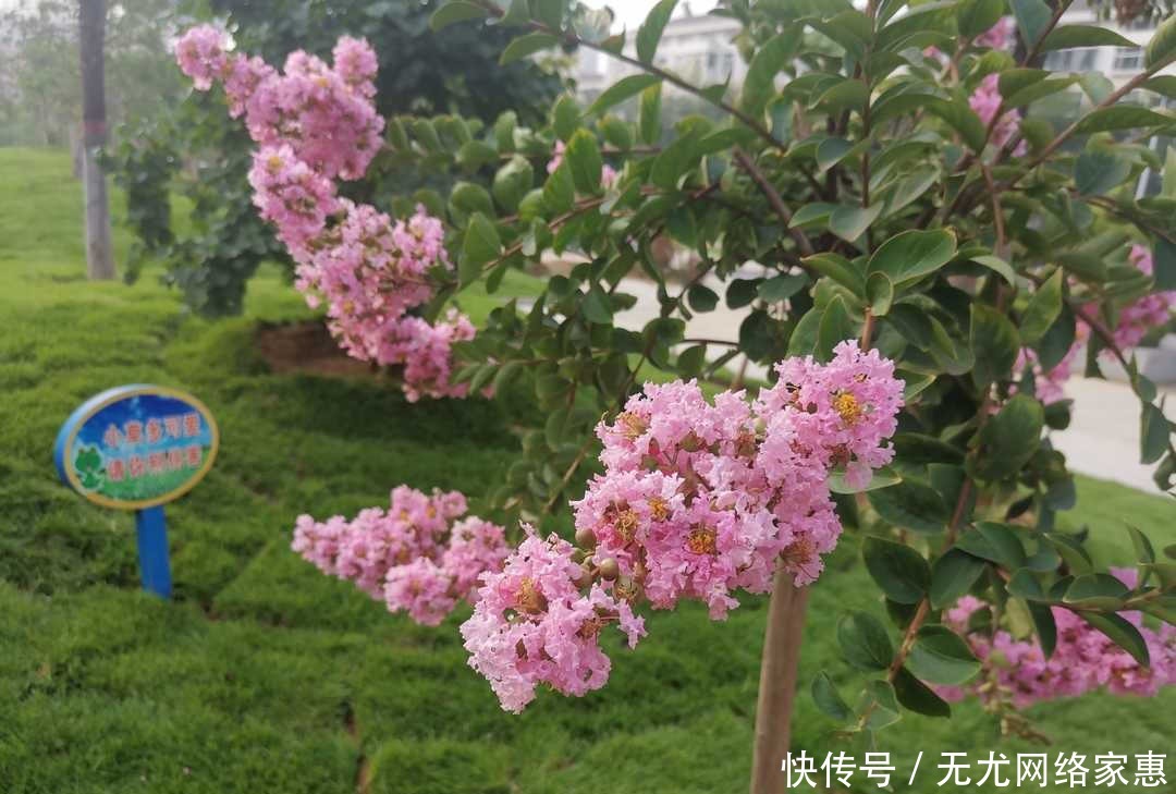 独处|《曾国藩家书》:静心独处有益于养生,舒缓心情可治疗失眠