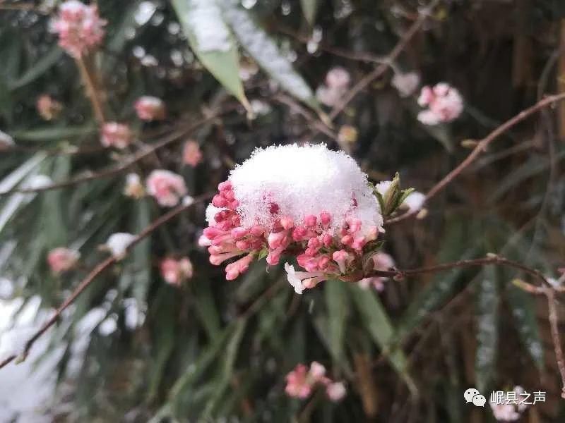 岷县的春夏秋冬，看不够！