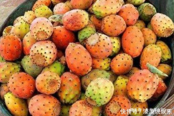 荠菜|女性不想老得快,推荐常吃4种食物,保护皮肤,美容抗衰老