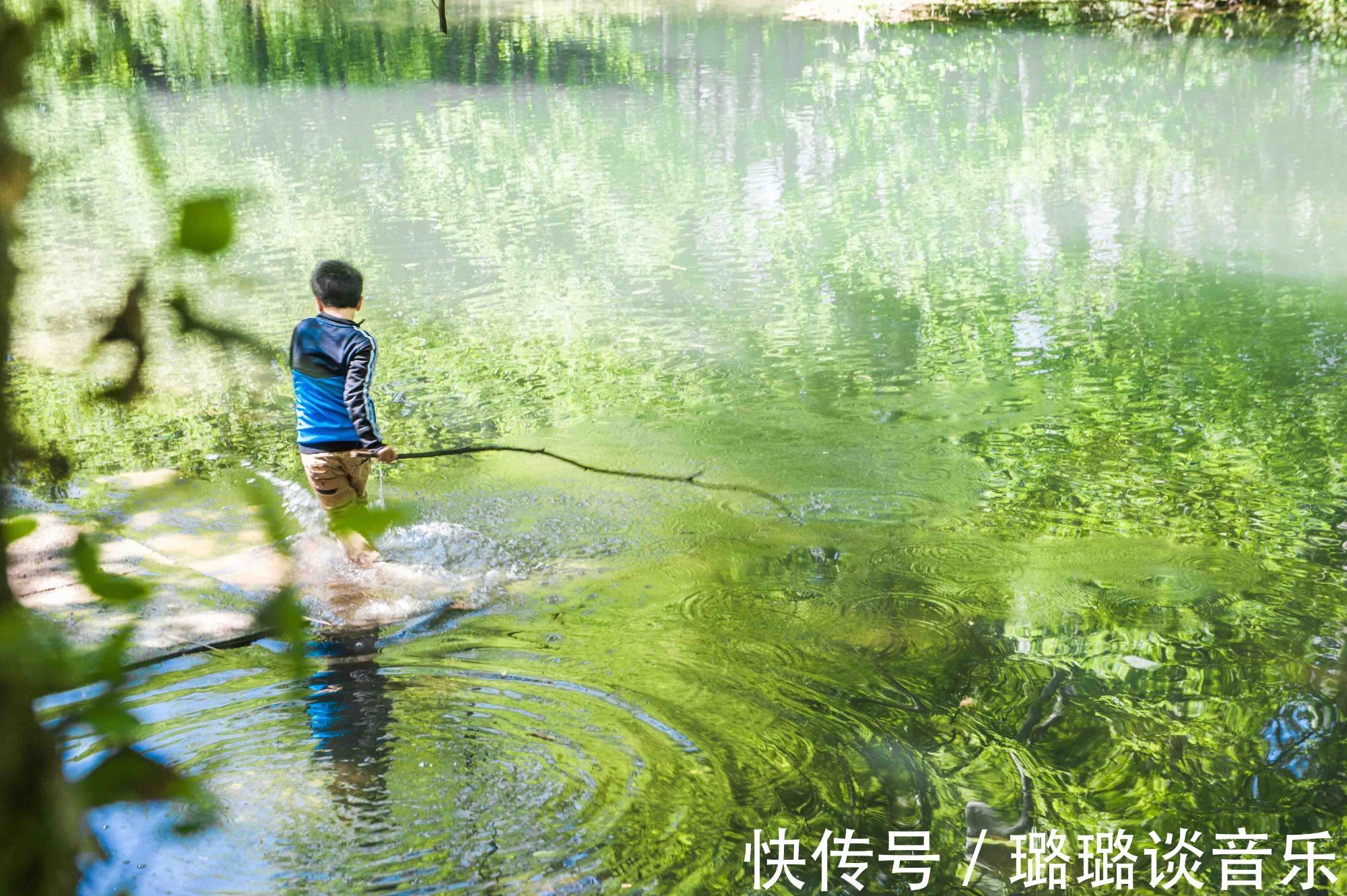 湿地|安徽的世外桃源，被誉为现实版绿野仙踪，是一片无污染的绝美净土