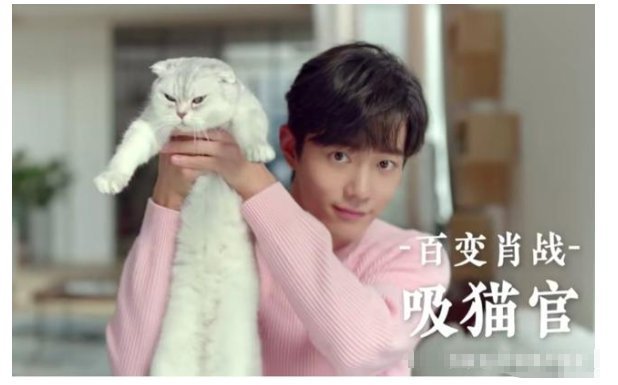 视频|肖战换装垮了吗,并没有,登视频热榜,圈粉近40万