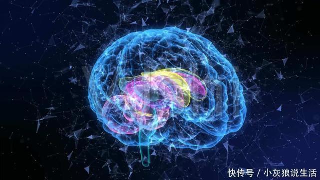 很火的老年人大脑测试,害怕自己得老年痴呆的来试试,很准