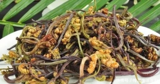 价格|农村人称“山菜之王”的野菜,采摘正合适,价格与牛肉不相上下