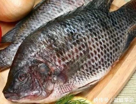 鱼肉|糖尿病人能吃什么肉?推荐吃的9类肉,对稳血糖防并发症都有好处!