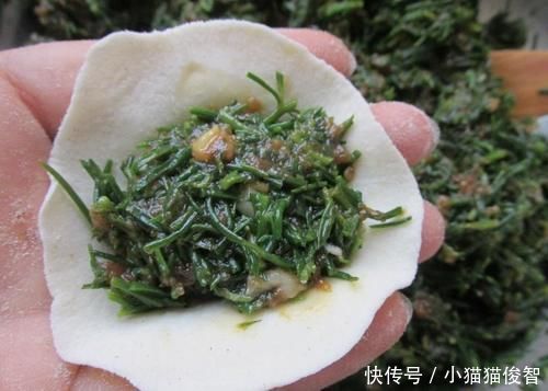 少许|夏天吃饺子,韭菜靠边站,这菜做馅鲜嫩多汁营养好,还能润肠通便