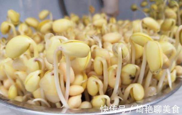 脆嫩|在家发豆芽好简单,只需水和豆,5天就发好,脆嫩好吃,干净卫生