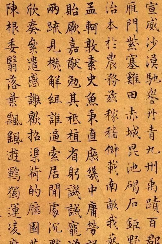 遗教@80年书法功力满纸,这位大明第一书法高手,将《千字文》写入化境