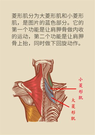 肩颈疼痛|长期伏案引起肩颈疼痛怎么办？专家教你小妙招！