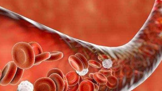 女人|这两种血型的女人,第一胎尽量不要流掉,第一个孩子对你很重要