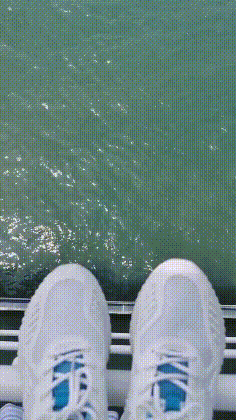 |搞笑GIF趣图:大哥,下次能不能把胡子再刮刮,真的很扎手