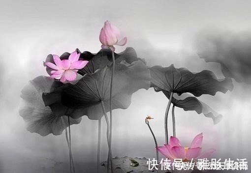 人生在世|佛教最经典的24句话,修身养性,不看是你的损失!