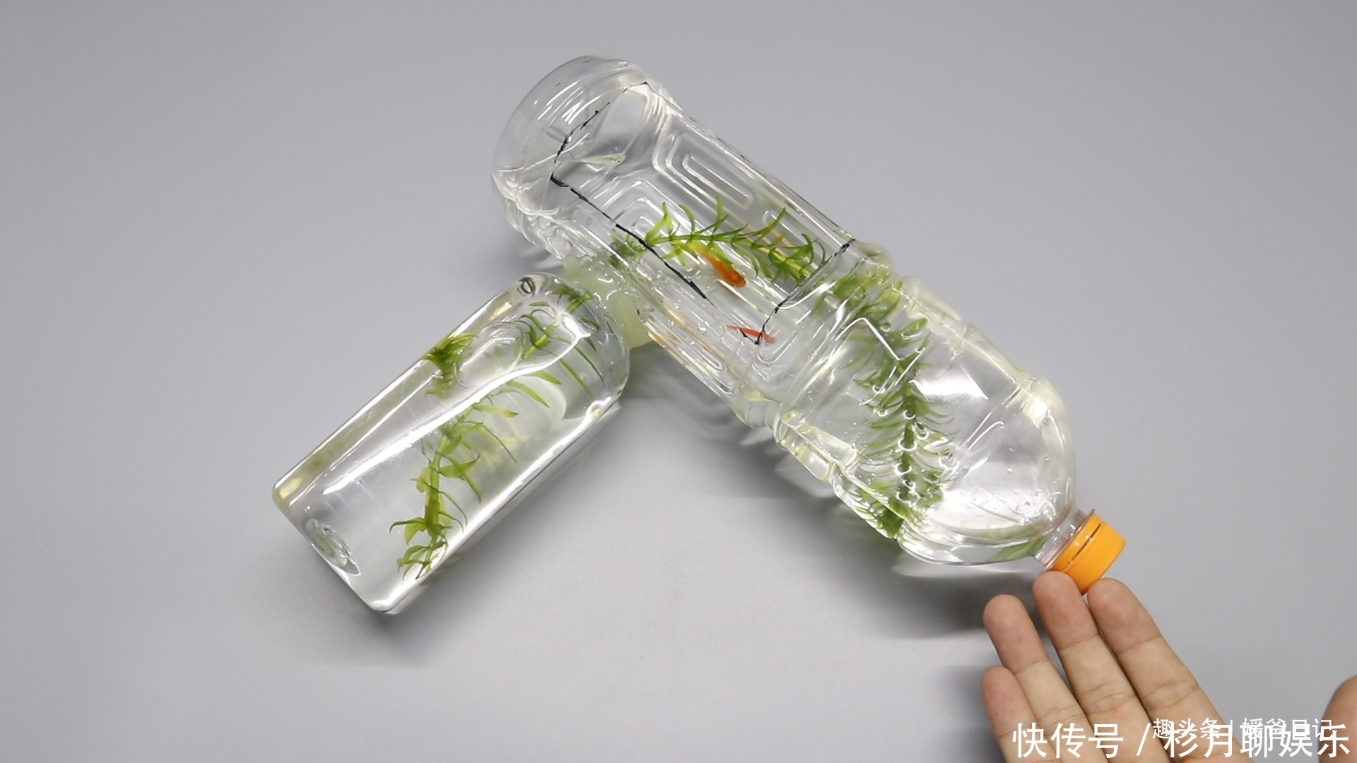 热熔胶|塑料瓶卖了不值钱，可以用来制作鱼缸，锻炼下孩子的动手能力