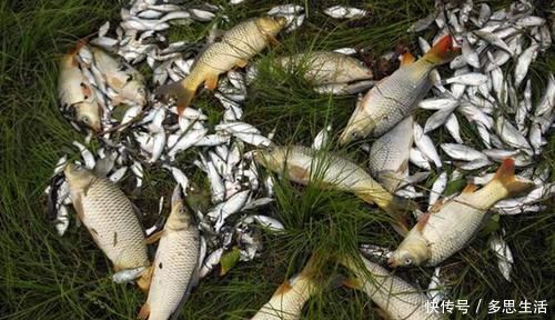 水域|野钓必杀技:揭示钓位选择秘诀,哪里鱼儿扎堆,一看便知晓!