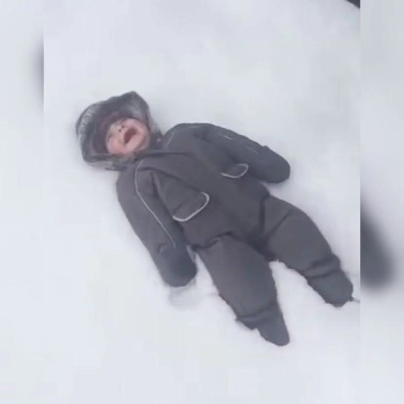 自由飞翔|亲爸让娃第一次体验雪，娃的小表情亮了，网友：是自由飞翔的感觉