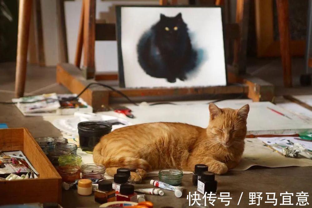 nova$专画“不正经”国画的老外,竟被10万人狂热追捧,看完作品立马佩服不已~