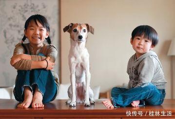 适应能力|第一天上幼儿园不哭的孩子,幼儿园老师多半出自3种家庭