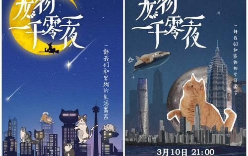 《宠物一千零一夜》明晚开播！治愈系上线，萌宠视角的现实童话，你期待吗~