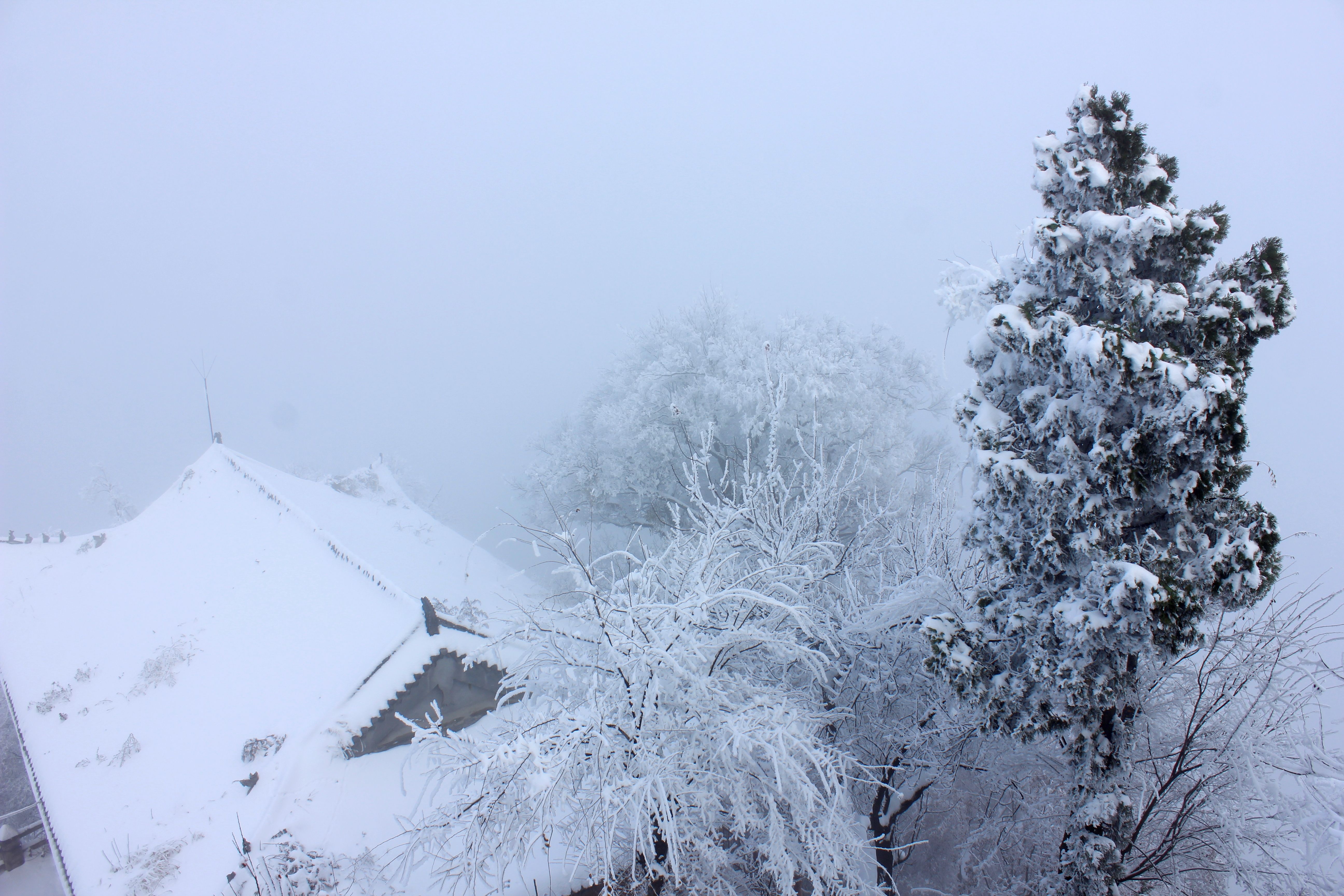 征集|【年末福利征集】雪后南五台幸遇云海