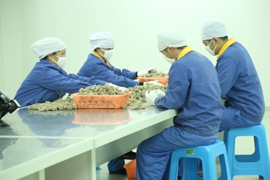 标准|三七就得选文山的？很少人知道，这才是三七金标准……