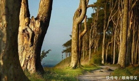 高手|把女孩藏于画中,找出三个算高手,只有眼力好的才能找齐