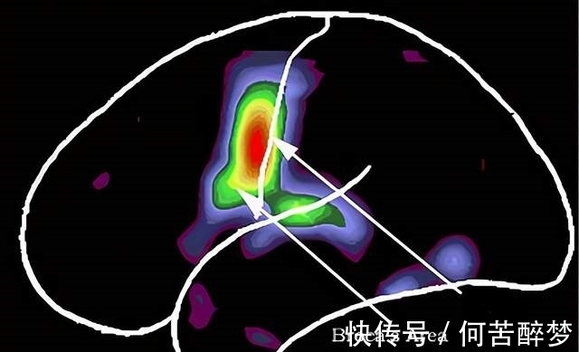 我們?cè)谒伎紩r(shí),腦海里出現(xiàn)的聲音是誰(shuí)的?