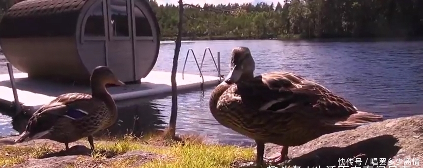 离开|世界上最差的酒店,看起来像极了坟墓,为什么住客却不舍得离开?