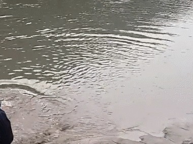 钓获大鱼很激动,冲进泥水抱住大鱼,媳妇应该不会骂吧