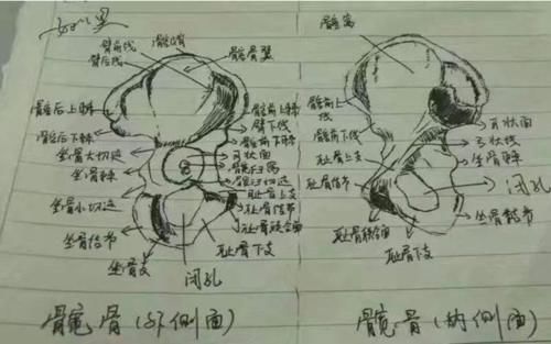 大学专业笔记火了，被专业耽误的“美术大师”，老师看后也称赞