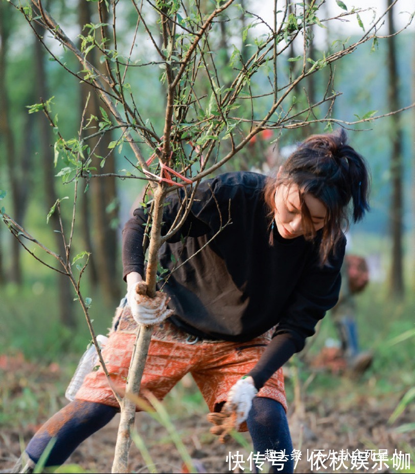 《向往》女嘉賓凌晨四點(diǎn)才睡,做了一件讓何炅很感動(dòng)的事