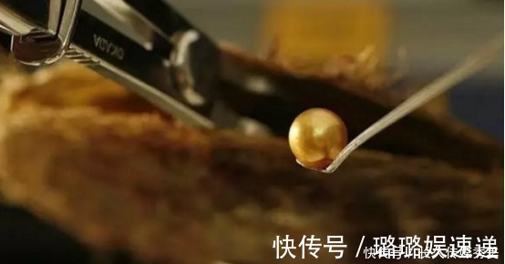 黑色|比白色珍珠贵,比黑色珍珠稀有的“土豪金”,有一颗就了不起了!